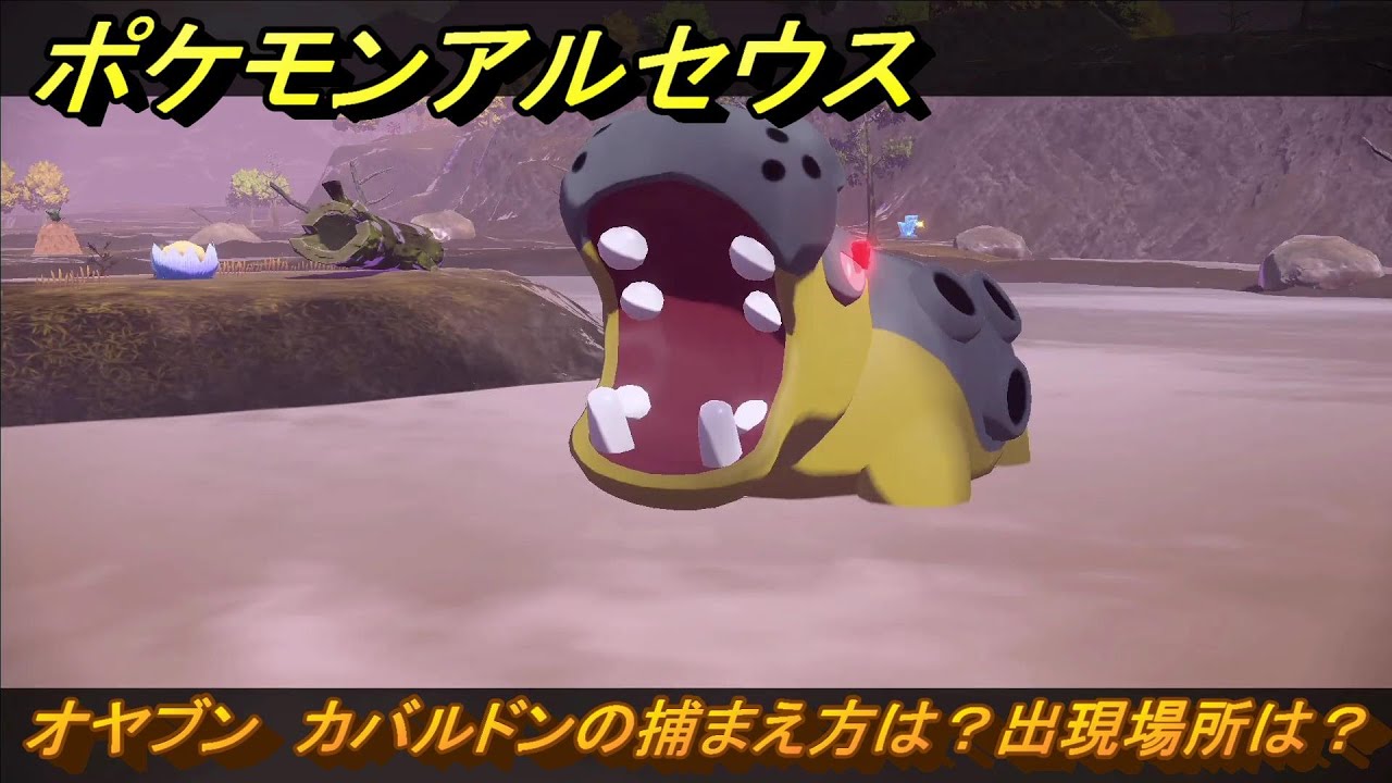 ポケモンアルセウス　オヤブン　カバルドンの捕まえ方は？出現場所は？　＃３９９　【Pokémon LEGENDS アルセウス】
