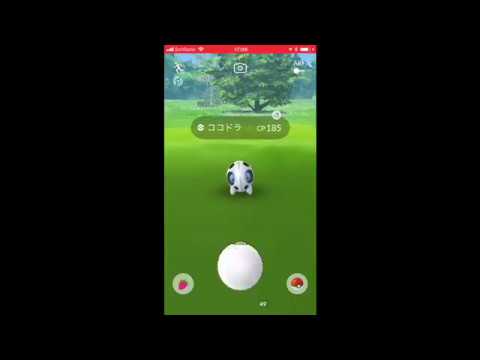 ココドラが現れた ポケモンGO