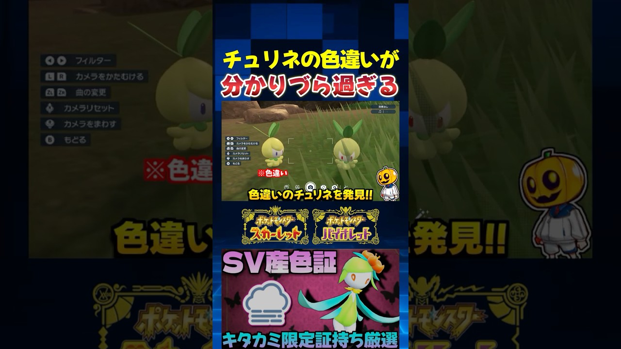 【ポケモンSV】見落とし注意のチュリネの色違いを捕まえたら図鑑説明が鬼畜過ぎたｗ【切り抜き】【色違いポケモン】【色違い厳選】#shorts