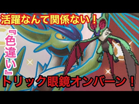 活躍なんて関係ない!!『色違い』トリック眼鏡オンバーン！