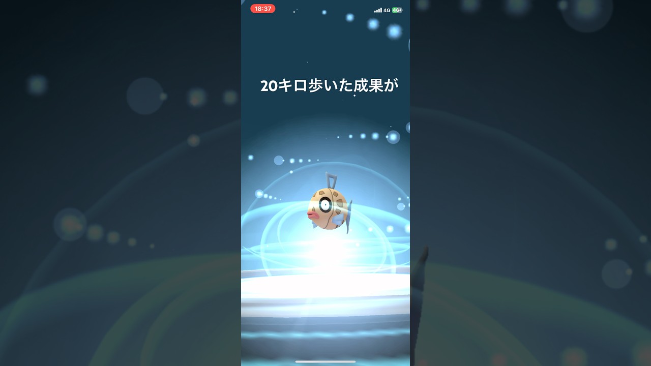 ポケモンGO ヒンバスが遂に…。#ポケモン #pokemon #ヒンバス #ミロカロス #ポケモンgo #めざせポケモンマスター