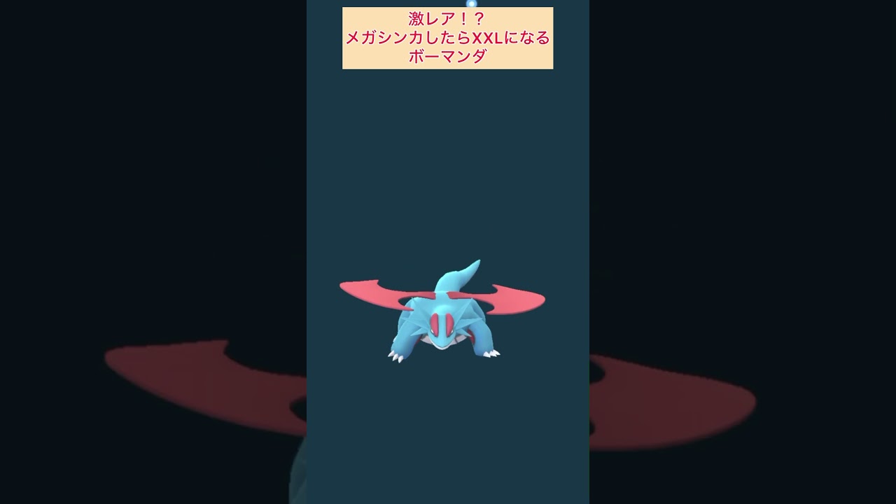激レア！？XXLにメガシンカするボーマンダ
