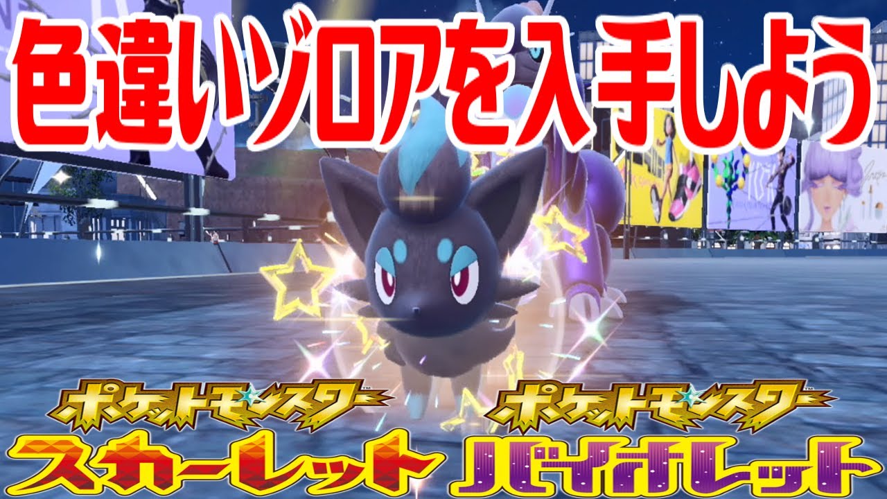 【ポケモンSV】色違いゾロアを入手しよう タマゴふか(タマゴ孵化)【ポケットモンスター スカーレット・バイオレット】Pocket Monsters