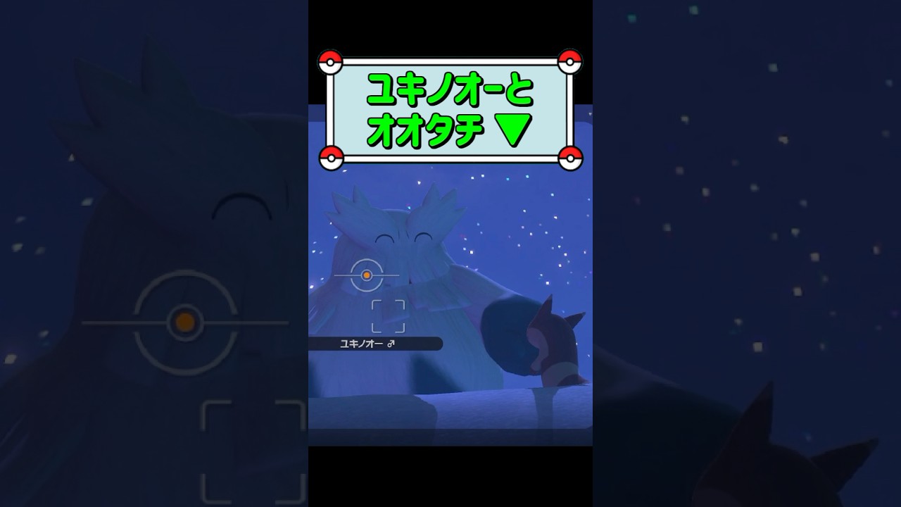 「ユキノオーとオオタチ ▼」　#ポケモンスナップ　#ポケモン　#shorts