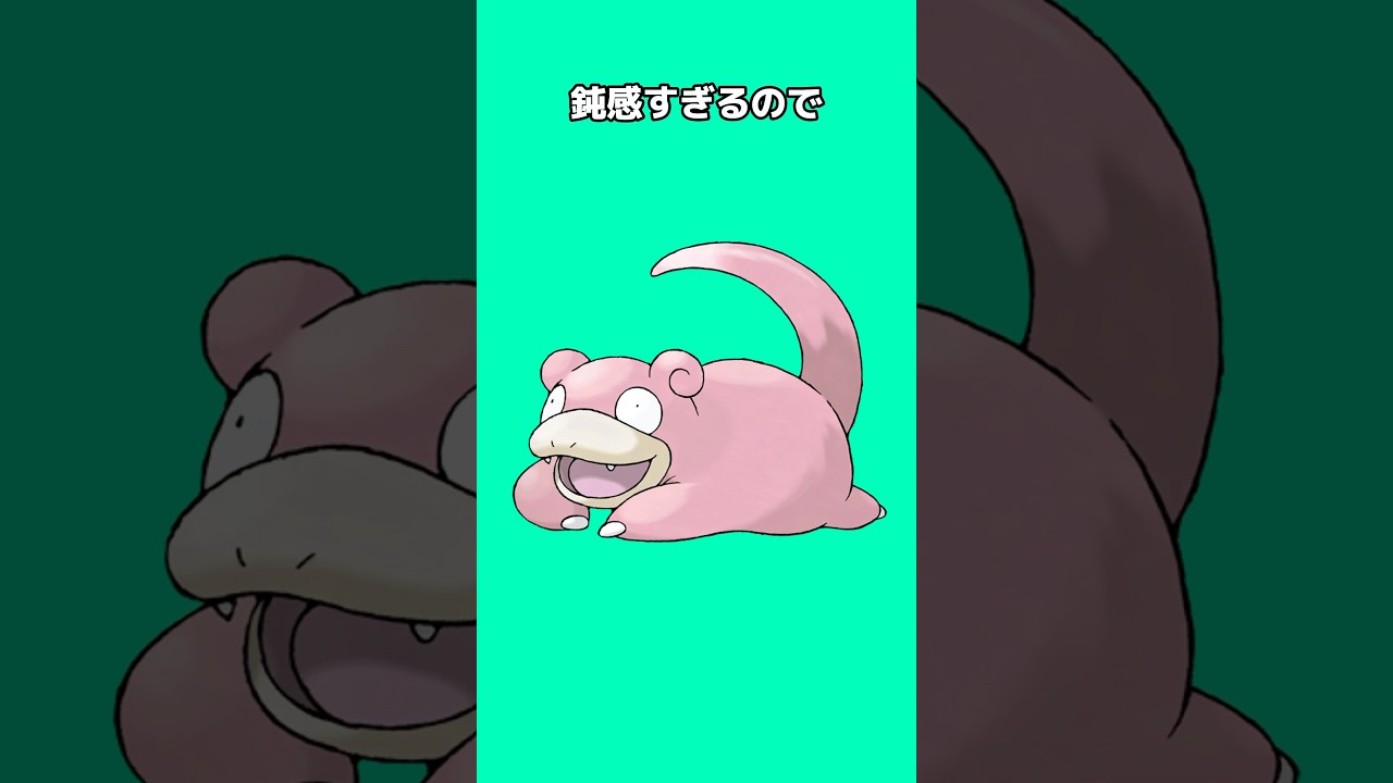 ポケモンの雑学3選Part324 #なぞはな #ポケモン #ポケモンカード #ポケモンオリジナルアニメ #ポケモンゲーム実況 #shorts #ヤドン #ルチャブル #スピアー