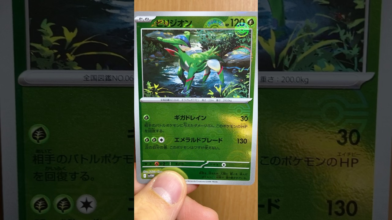 ビリジオンのカードを見て楽しむ #ポケカ #ホワイトフレア