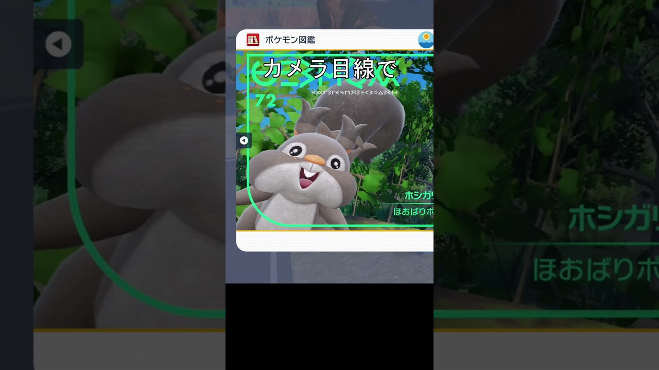 カメラ目線のホシガリス、ヨクバリス　図鑑　#ポケモン #ポケモンsv #ホシガリス #ヨクバリス