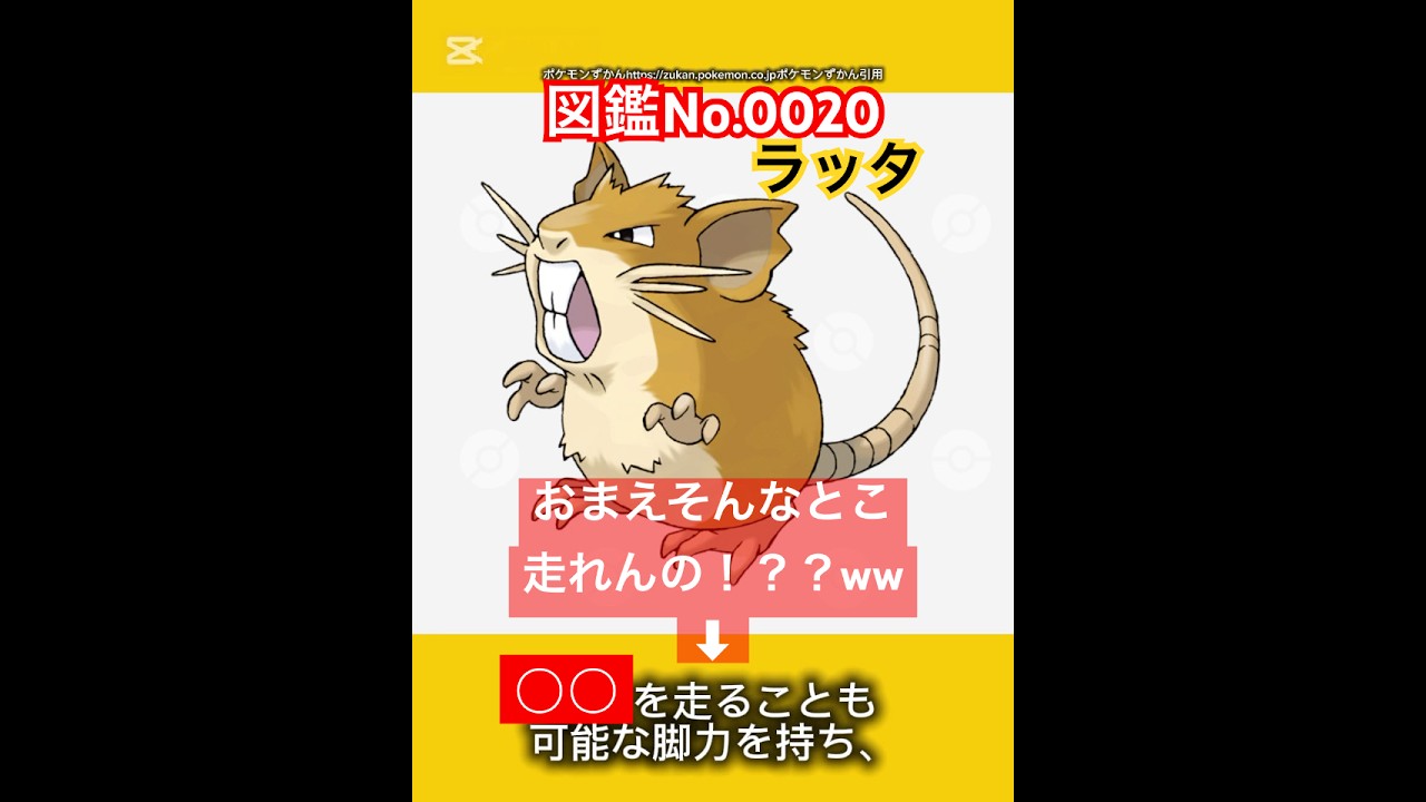 ポケモン雑学【ラッタ】#ポケモン #pokémon #pokemon #ポケモンsv #pokemongo #JAPAN #japanese #ポケモン赤緑 #ポケポケ #ポケモンカード #ねずみ