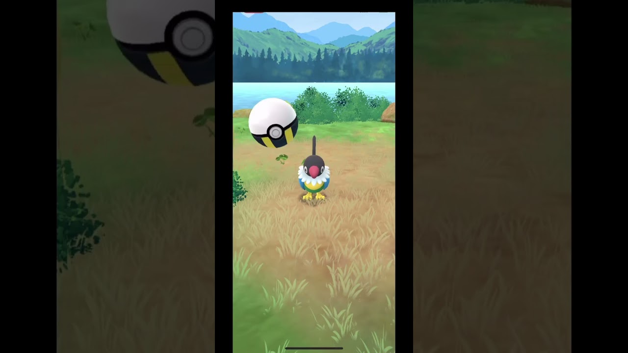 ペラップたくさん出てこないよね〜色違いなんか厳しくね🤔