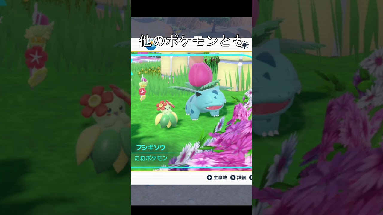 フシギバナ可愛い　図鑑　#ポケモン #ポケモンsv #フシギダネ #フシギソウ #フシギバナ