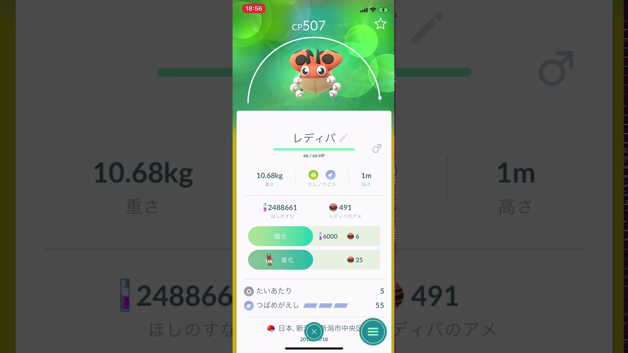 ポケモンGO、レディバからレディアンに進化したシーン