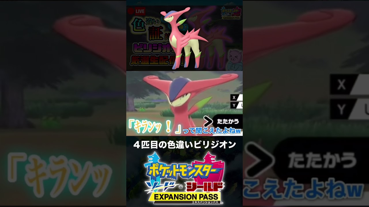 ４匹目の色違いビリジオンと邂逅した男【ポケモン剣盾】