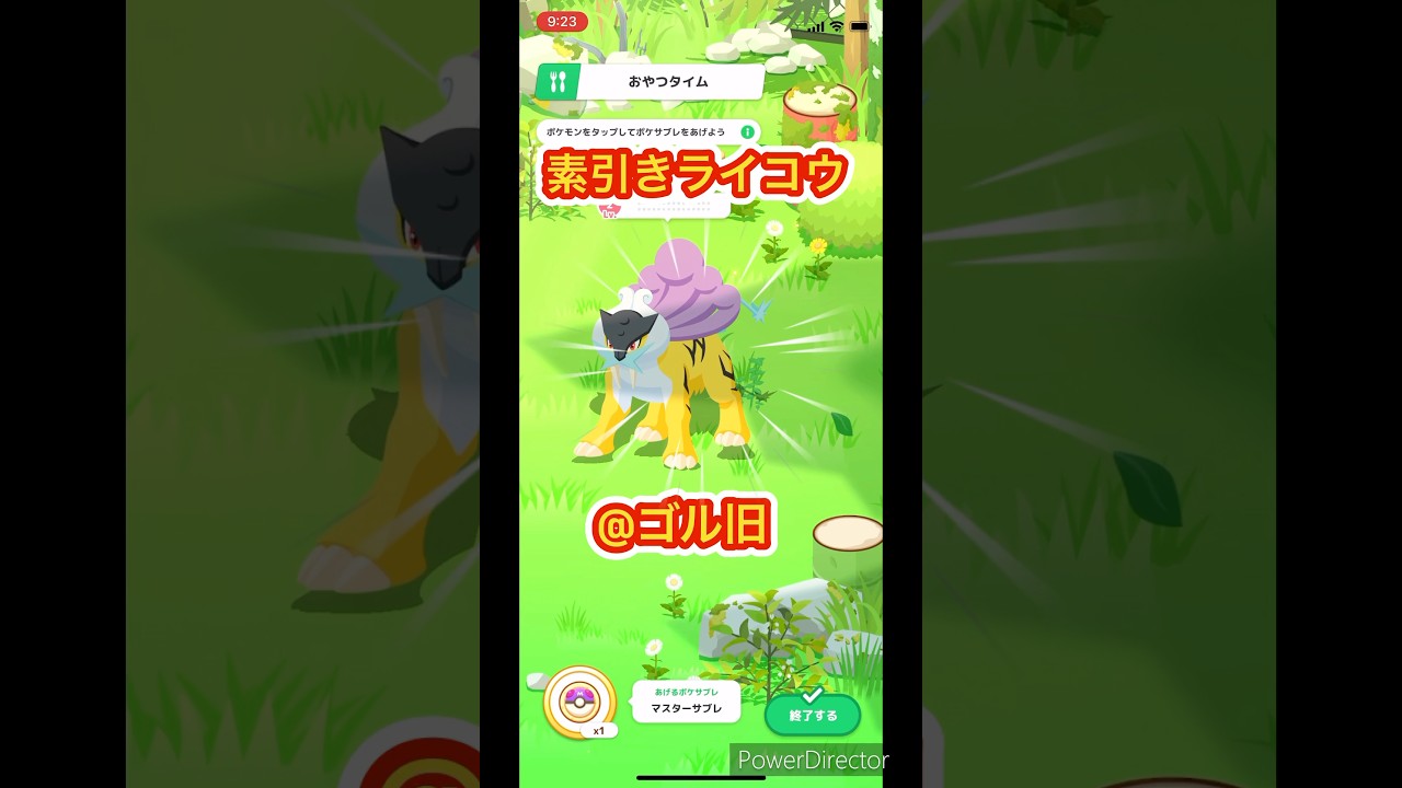 素引きライコウに歓喜して、うっかりマスサブ溶かしました　#ポケスリ #ポケモン #ポケモンスリープ pokemonsleep #ライコウ #ゴールド旧発電所
