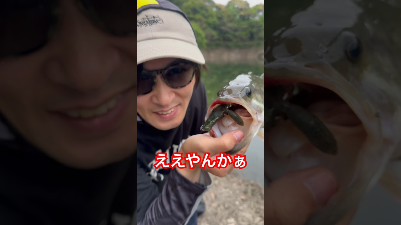 メガバスのスリーパークローがヤバい！ #釣り #ルアーフィッシング #fishing #バス釣り #アウトドア #ええやんかぁ