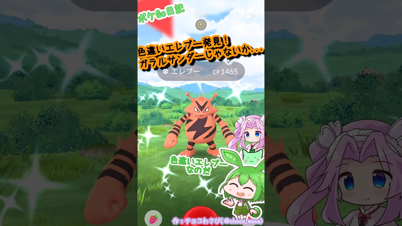 【ポケGO日記】色違いエレブーGETなのだ！でもこの配色ならガラルサンだぁ...にはならないかな？