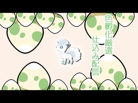 【ポケモンSV＃男性実況者実写】コンペボールアローラロコン孵化厳選配信