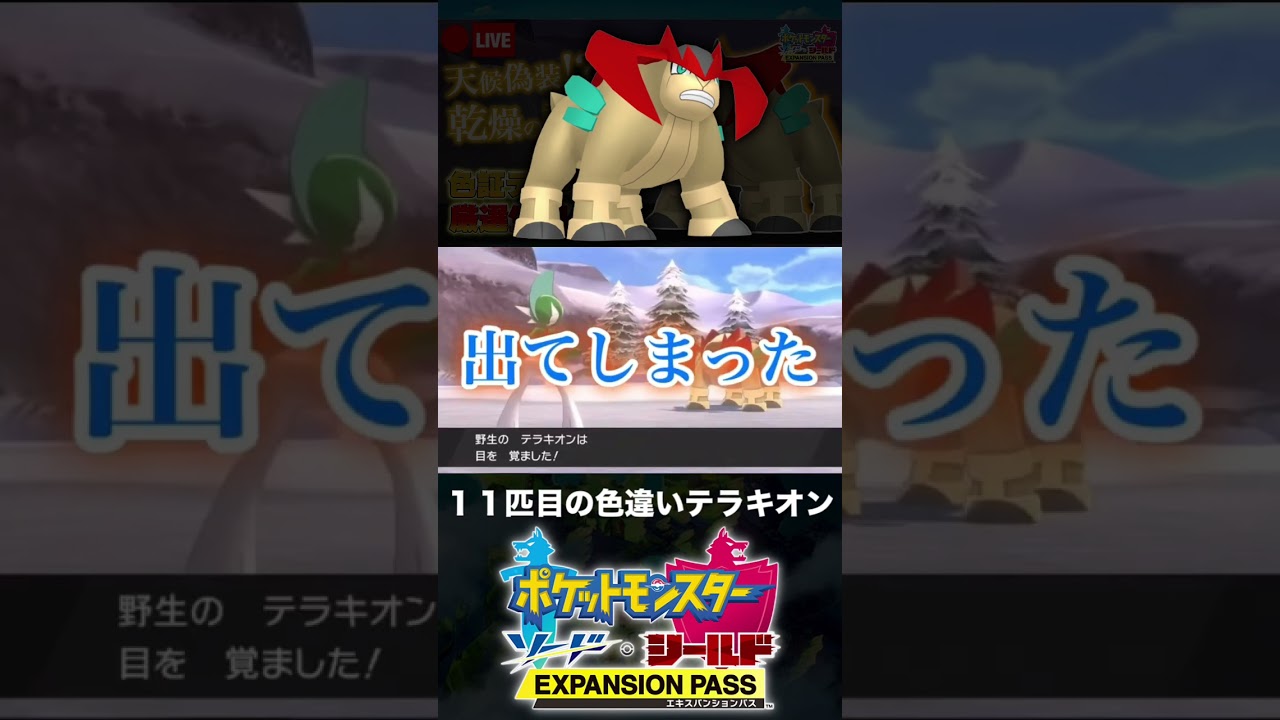 11匹目の色違いテラキオンと邂逅した男【ポケモン剣盾】
