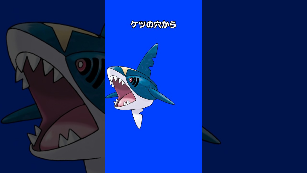 ポケモンの雑学3選Part327 #なぞはな #ポケモン #ポケモンカード #ポケモンオリジナルアニメ #ポケモンゲーム実況 #shorts #シャリタツ #バチンウニ #サメハダー