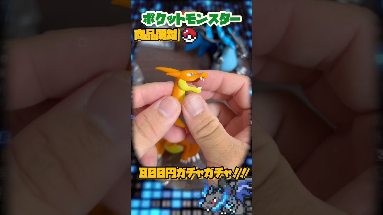 800円のガシャポンがヤバ過ぎる！！メガリザードンYのクオリティーが凄い！！#pokemon #ガシャポン #shorts #ポケモン