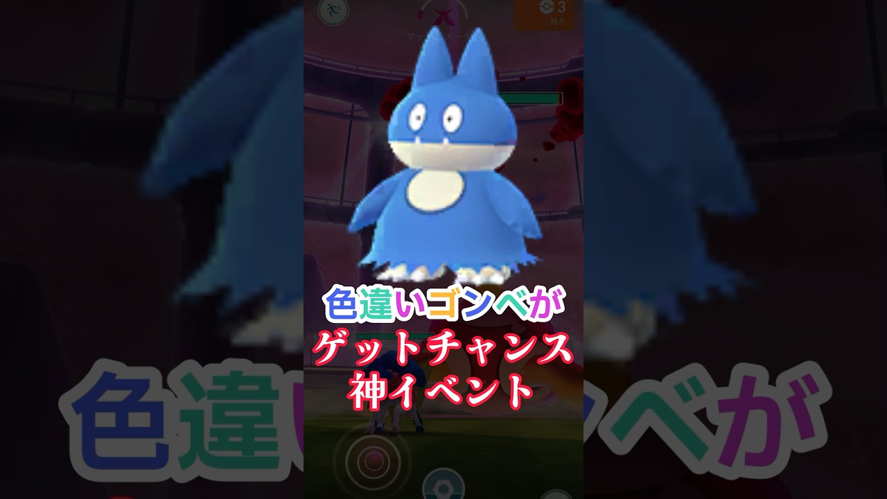【速報】色違い率アップのゴンベふかの日イベントが来る！【ポケモンGO】 #ポケモン #ポケモンgo