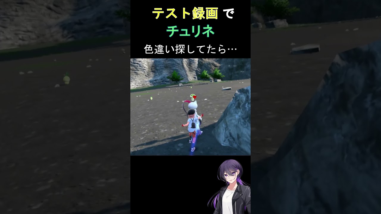 テスト録画でチュリネのイロチ探していたら【ポケモンSV】【スカーレット・バイオレット】