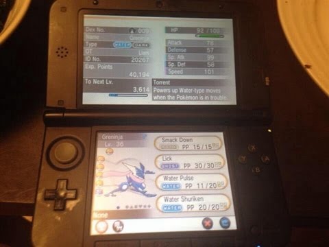 【ポケモンXY】ケロマツ　最終進化