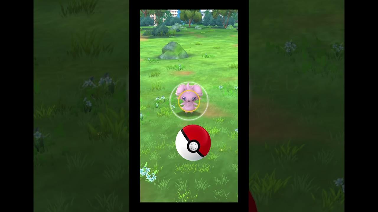 ニャスパー(♀)の色違いきちゃ〜〜♡