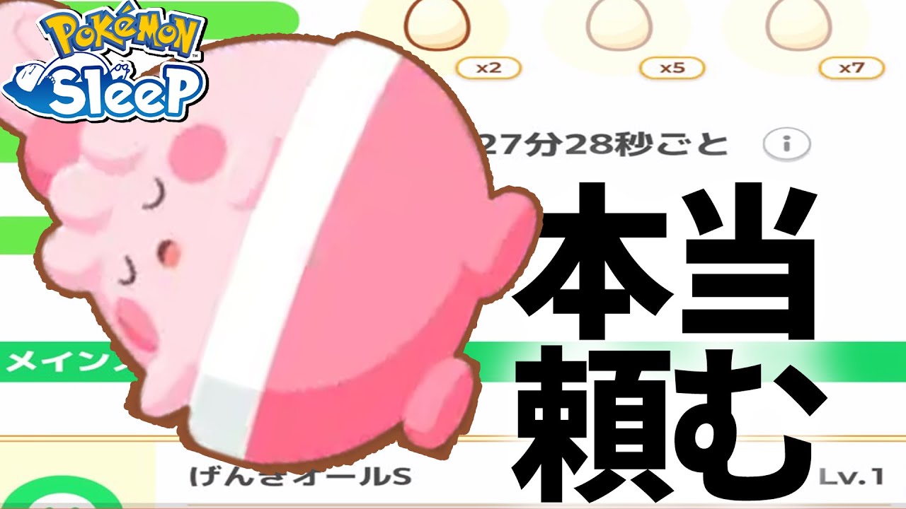 週に1回会えるか会えないかのピンプクよ。お前はやれるんだろうな？？【ポケモンスリープ】