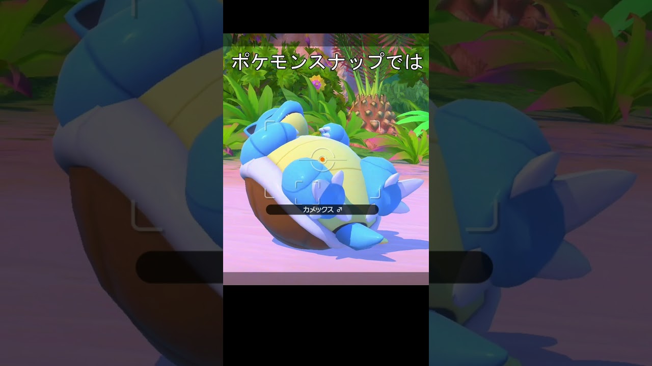 カメックス眠りかた　うつ伏せ　仰向け #ポケモン #ポケモンsv #ポケモンスナップ #カメックス
