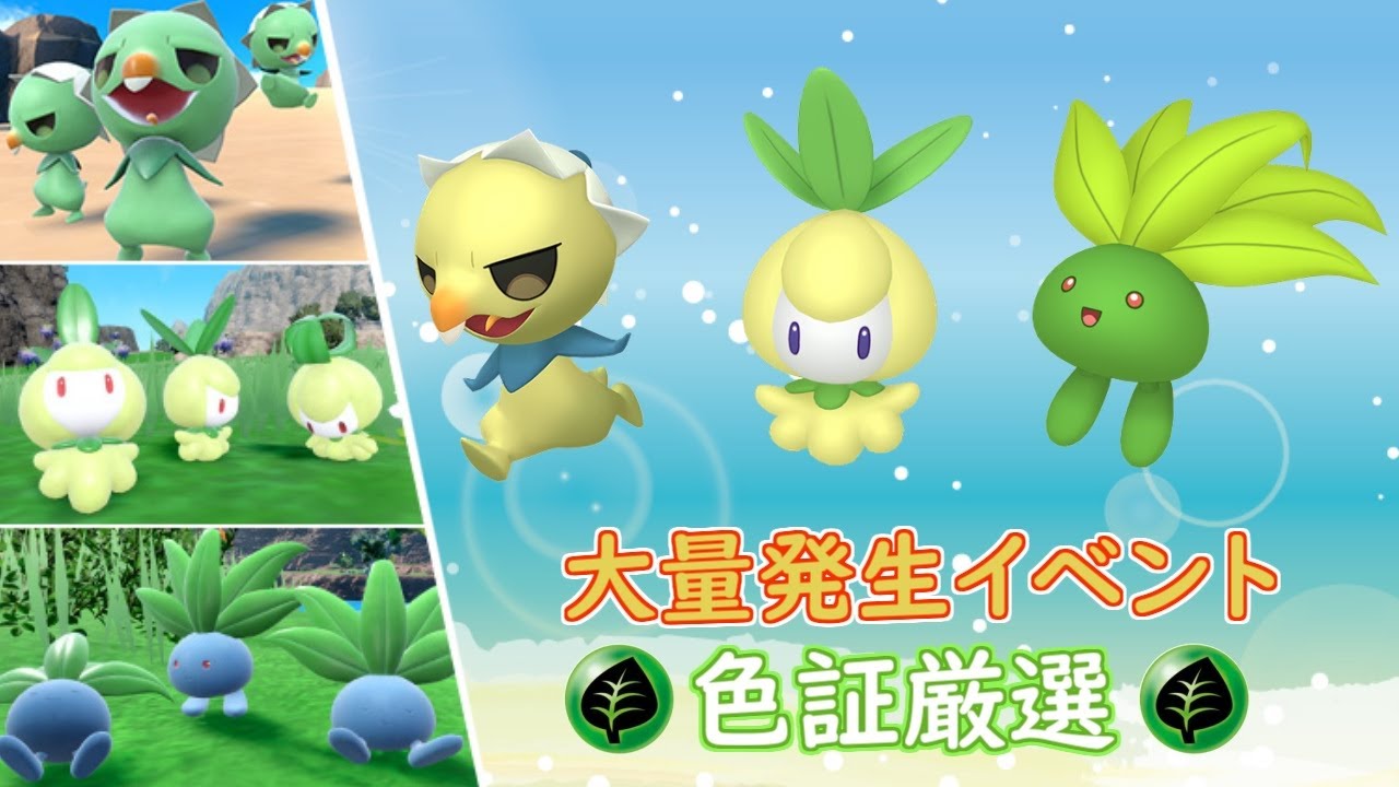 （大量発生イベント）チュリネ色違い厳選研究会　その２