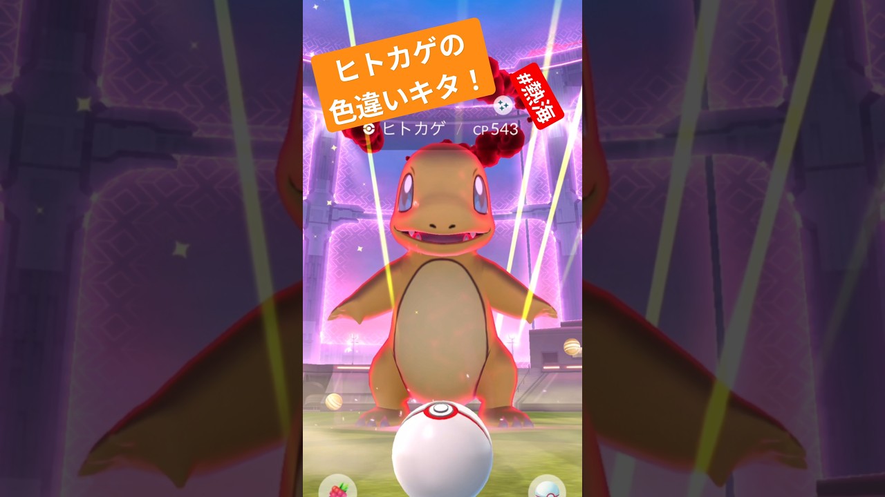 熱海にアローラ！ #ヒトカゲ #ポケモンgo #色違い #shorts