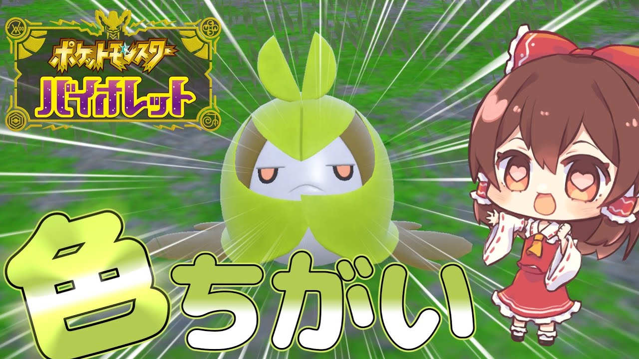 端午の節句に柏餅みたいな色違いクルマユをゲットするよ！【ポケモンSV】【ゆっくり実況】