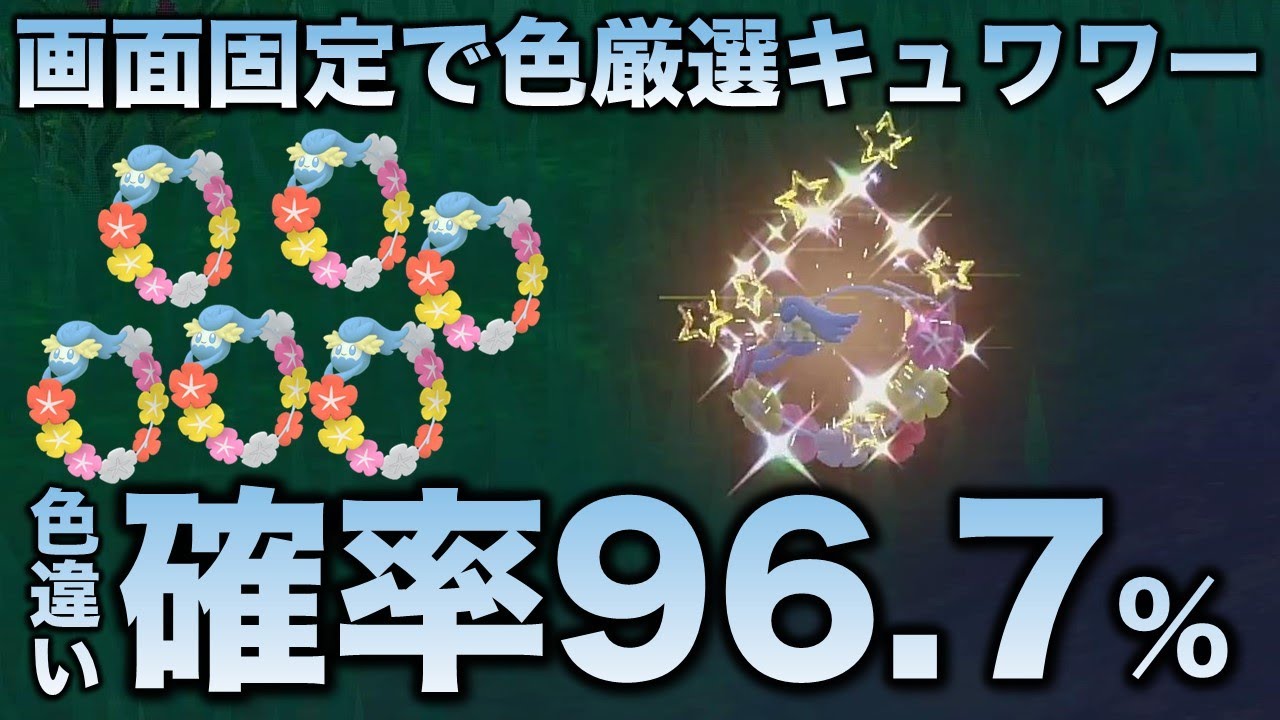【画面固定!!色厳選】キュワワー編!!【ポケモンSV/スカーレット・バイオレット】