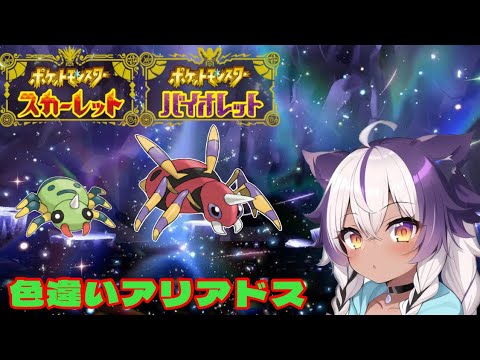 【ポケモンSV】色違いイトマル → アリアドス【ポケットモンスタースカーレットバイオレット】