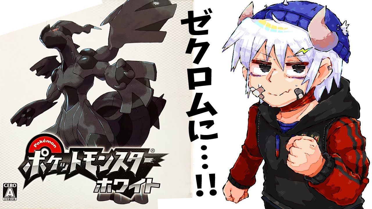 ゼクロムに…！！初見ポケモンBW！！【ポケモンブラック・ホワイト】 #1