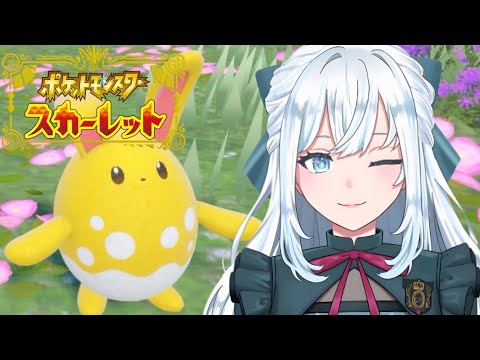 【ポケモンSV】ジムリーダー戦２周目準備！｜黄色の色違いでパーティーを作る！｜リオル＆フワンテ厳選