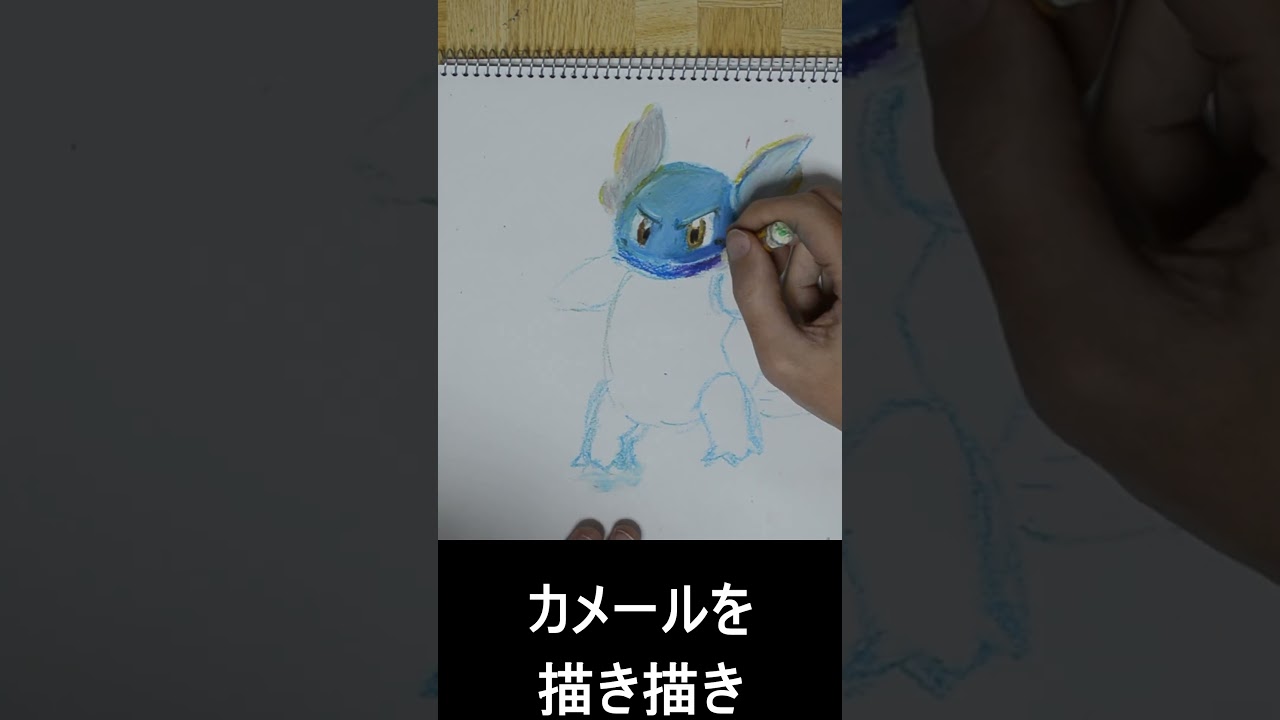 77日目 #忘れない花 #ポケモン #カメール #pokemon