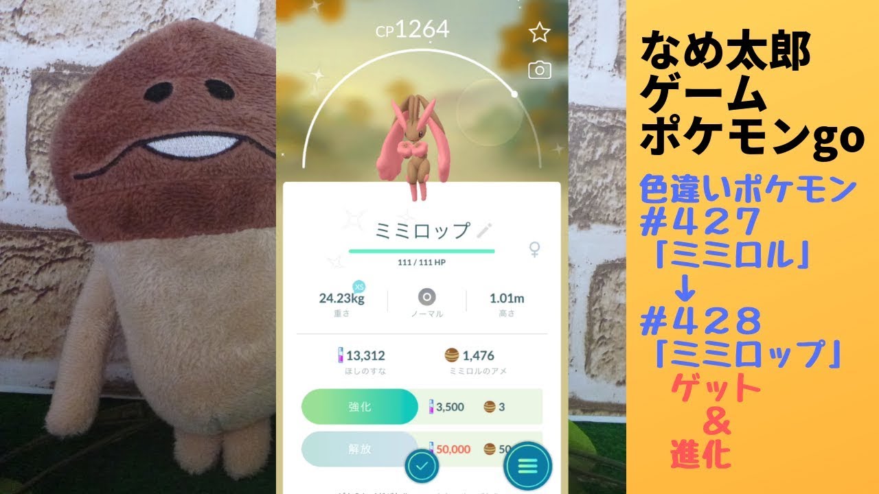 【縦画面スマホ向け】なめ太郎の色違いゲット＃４２７「ミミロル」ゲット→＃４２８「ミミロップ」へ進化する動画【ポケモンgo】