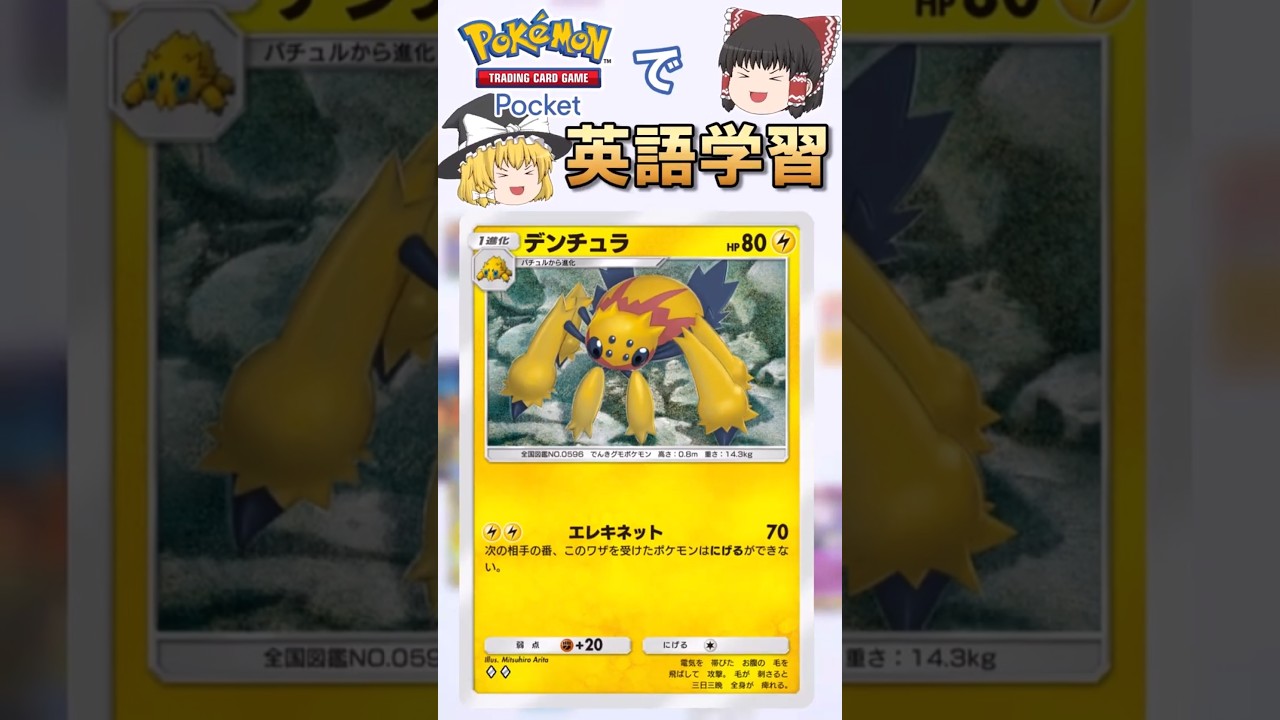 【ポケポケ】デンチュラ「エレキネット」 の英語版名称は？【ゆっくり解説】