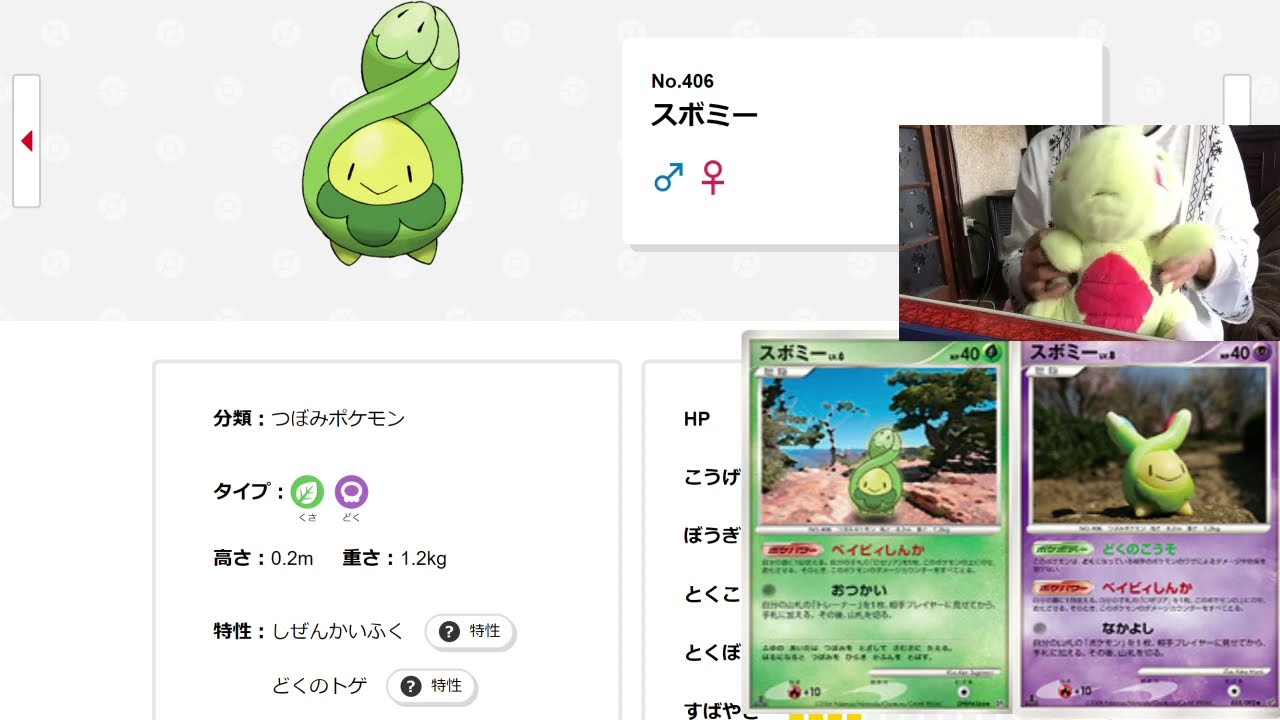 毎日ポケモン図鑑10 全国図鑑No.406スボミー