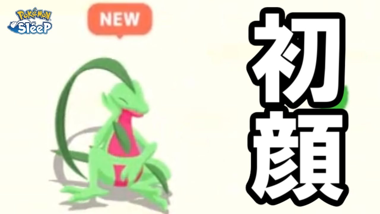 やっとジュプトルまでたどり着いた。【ポケモンスリープ】