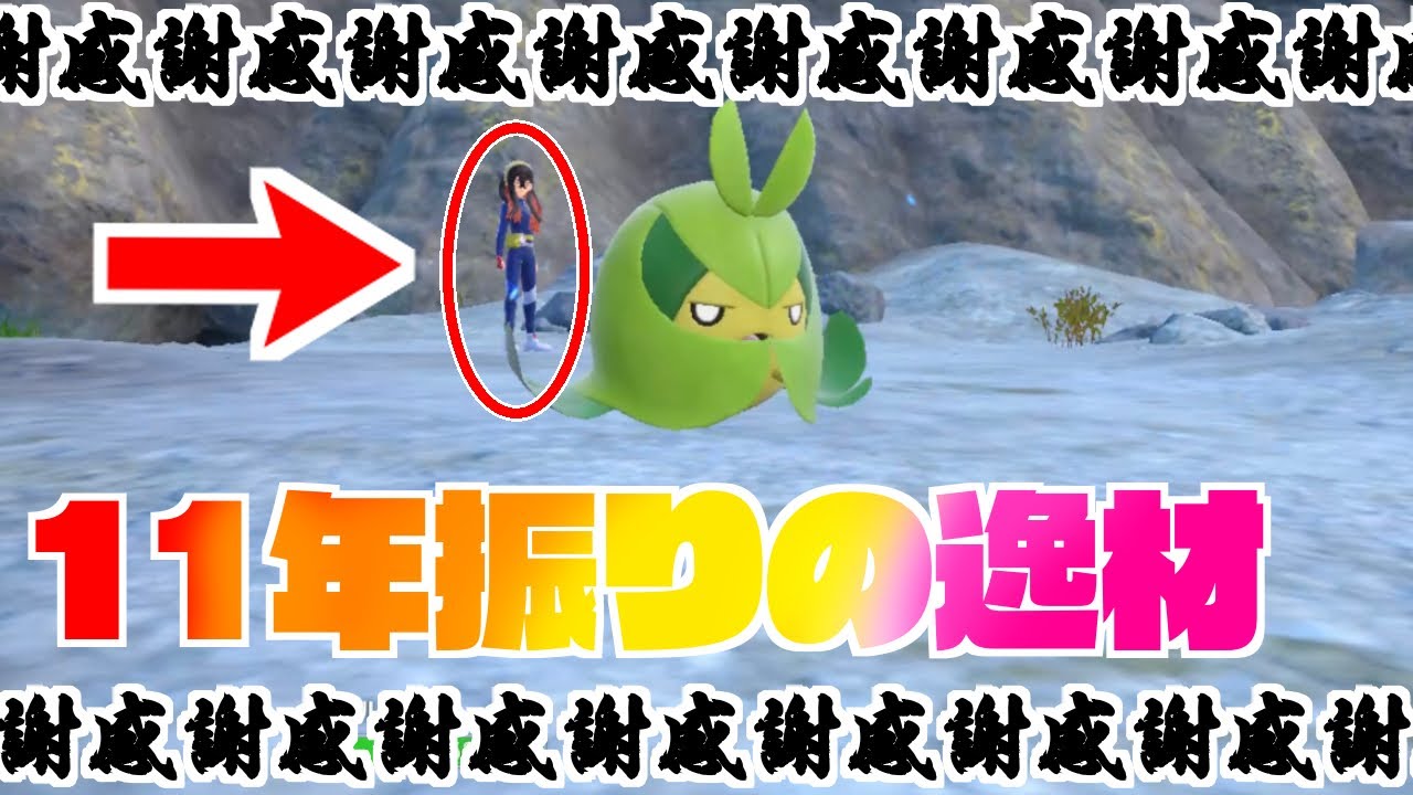 【ゆっくり解説(？)】なぜゼイユはクルマユ・ハハコモリを使ってくださるのか考察【ポケモンSV/DLC 碧の仮面】