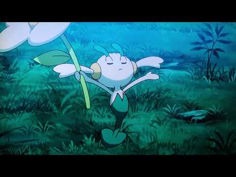 ポケットモンスター　第６６話　白い　フラエッテ　の　グラスフィールド