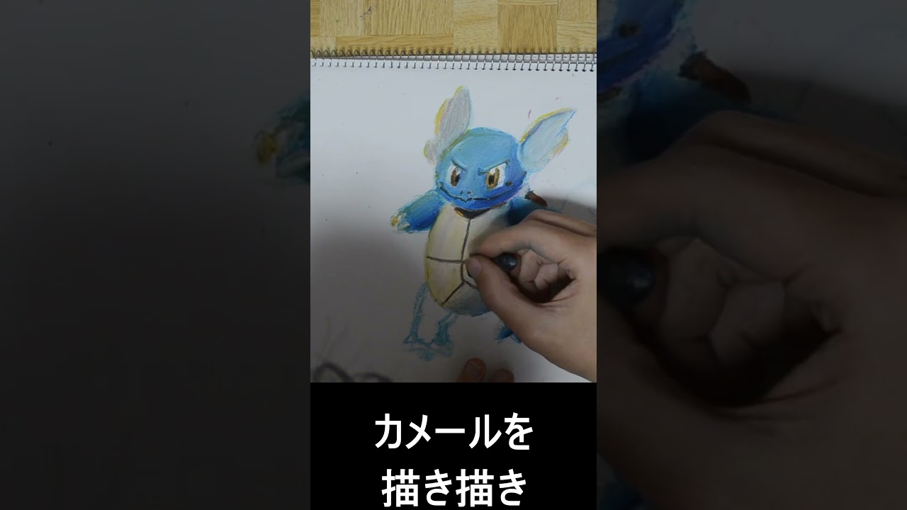 78日目 #忘れない花 #ポケモン #pokemon #カメール