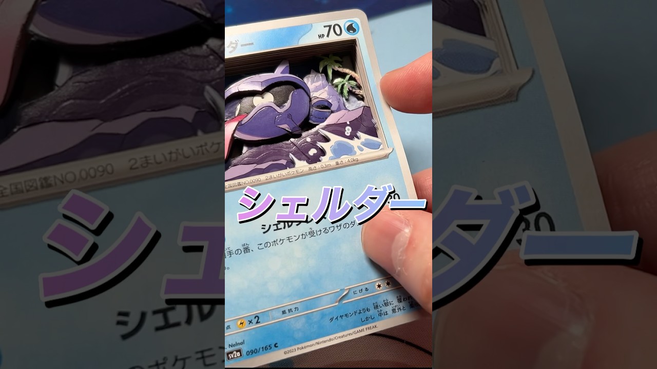 【ポケカ】シェルダーのシャドーボックス #シャドーボックス #ポケモンカード #カードボックス #ポケモン #ポケモンカードbox #pokemon #ポケカbox #ポケカ開封 #ポケポケ