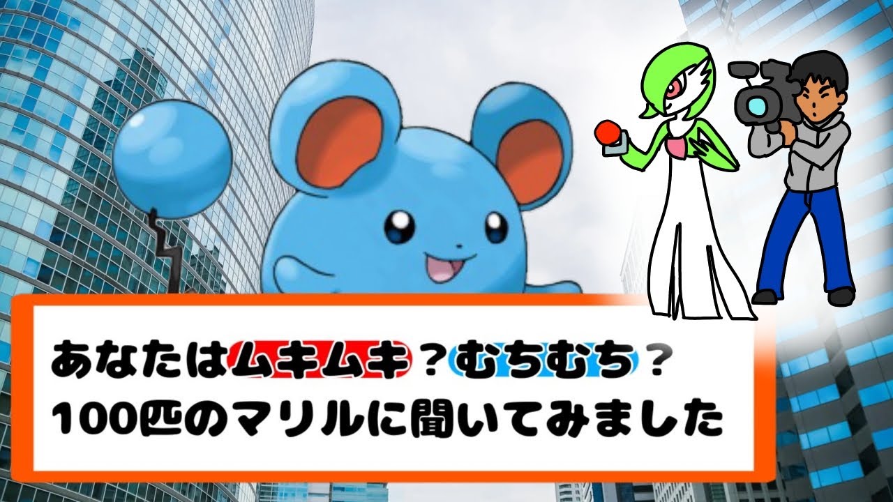 [インタビュー]マリルはムキムキかむちむちか？