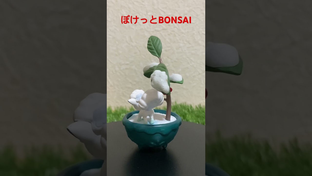 【フィギュア紹介】ぽけっとBONSAI ロコン(アローラのすがた)