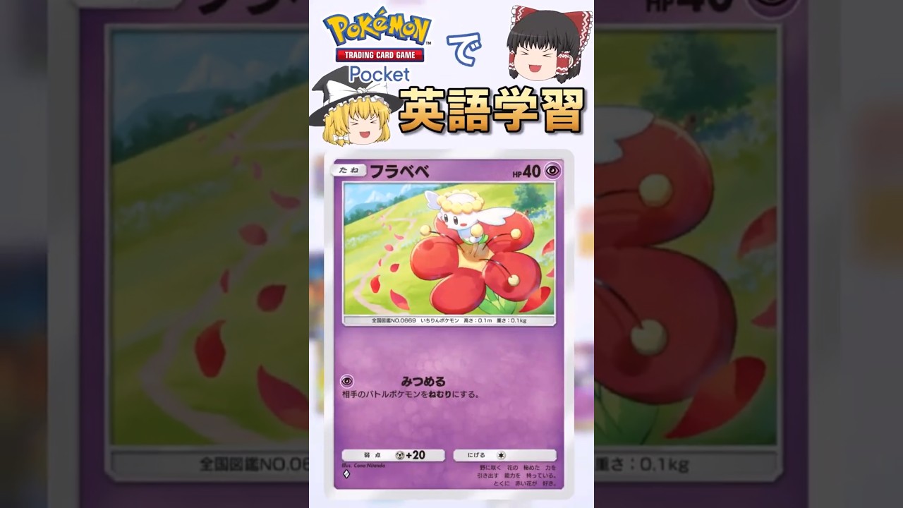 【ポケポケ】フラベベ「みつめる」 の英語版名称は？【ゆっくり解説】