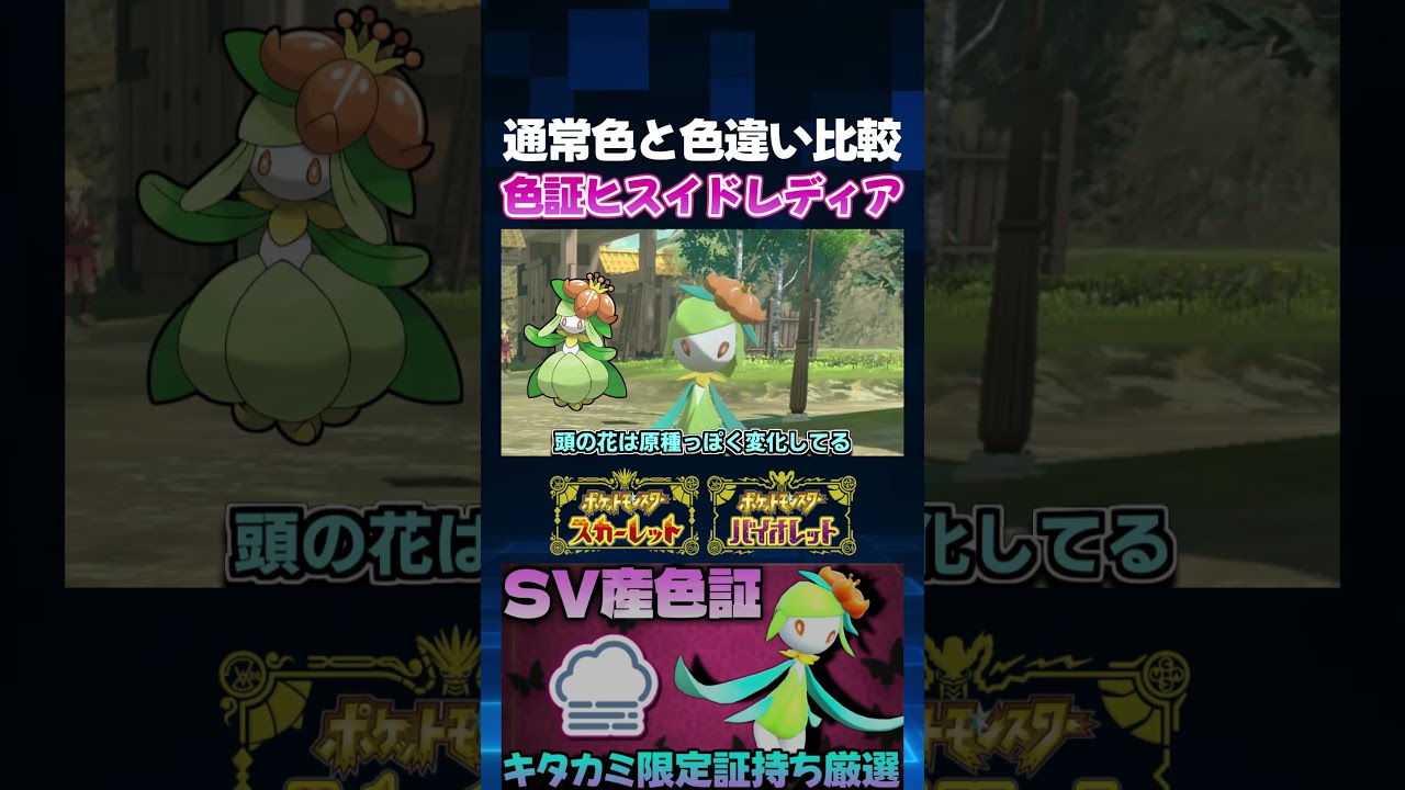 【ポケモンSV】SV産色証チュリネをヒスイドレディアに進化!! 通常色と比較もしてみた!!【切り抜き】【色違いポケモン】【色違い厳選】#shorts