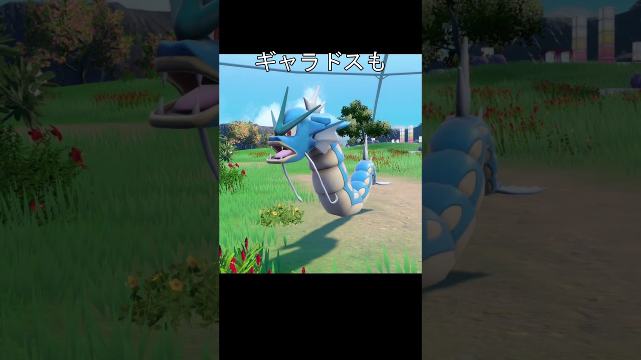 見た目はドラゴン　ドラゴンタイプじゃないポケモン #ポケモン #ポケモンsv #リザードン #ギャラドス